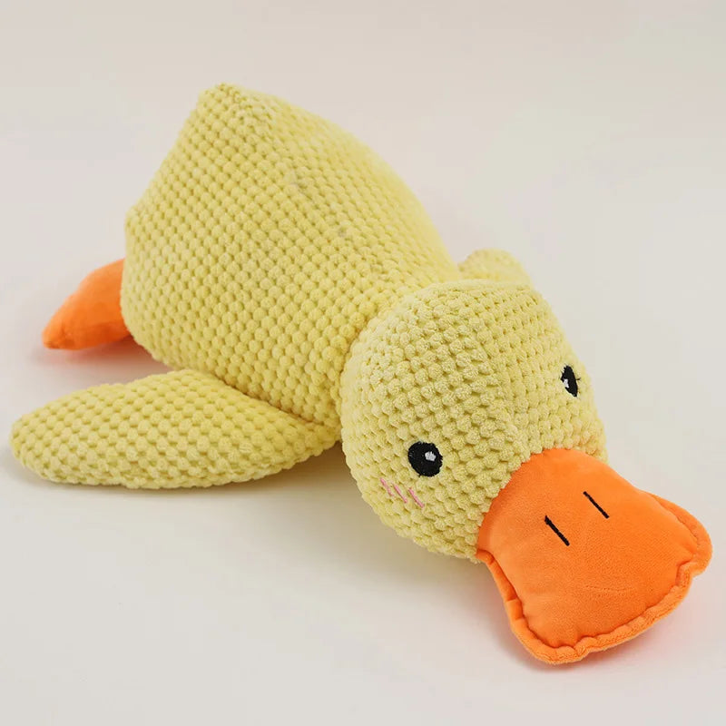 Samen cadeau voor hond en eigenaar – Verbonden plezier
