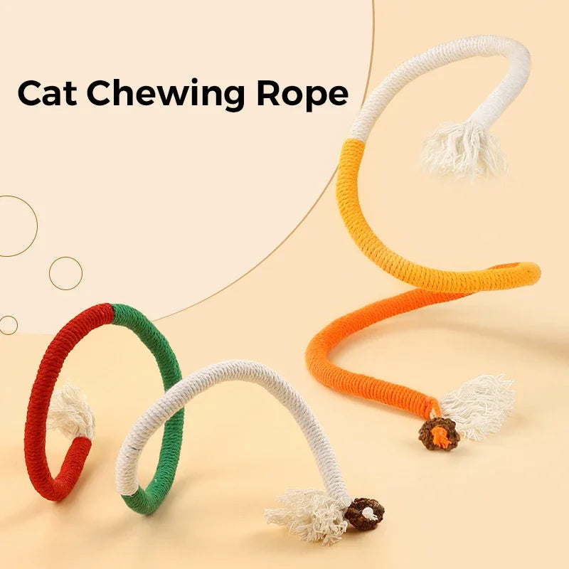 Kattenspeeltjes met stuiterbal – Onvoorspelbare beweging