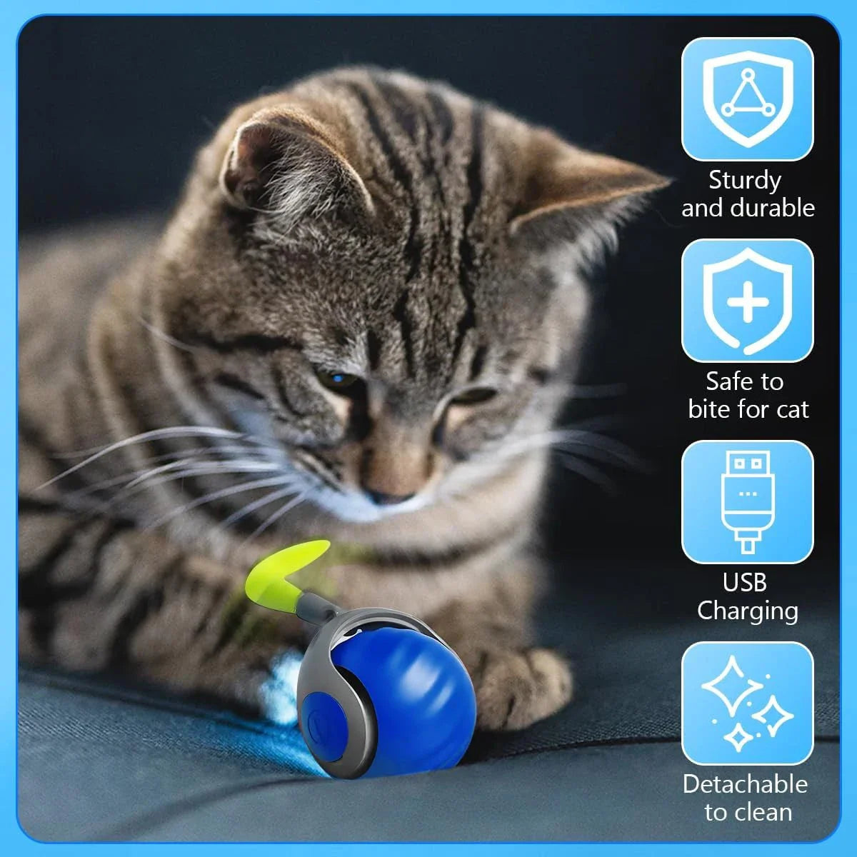 Zacht kattenspeelgoed in dierenvorm – Lief en speels