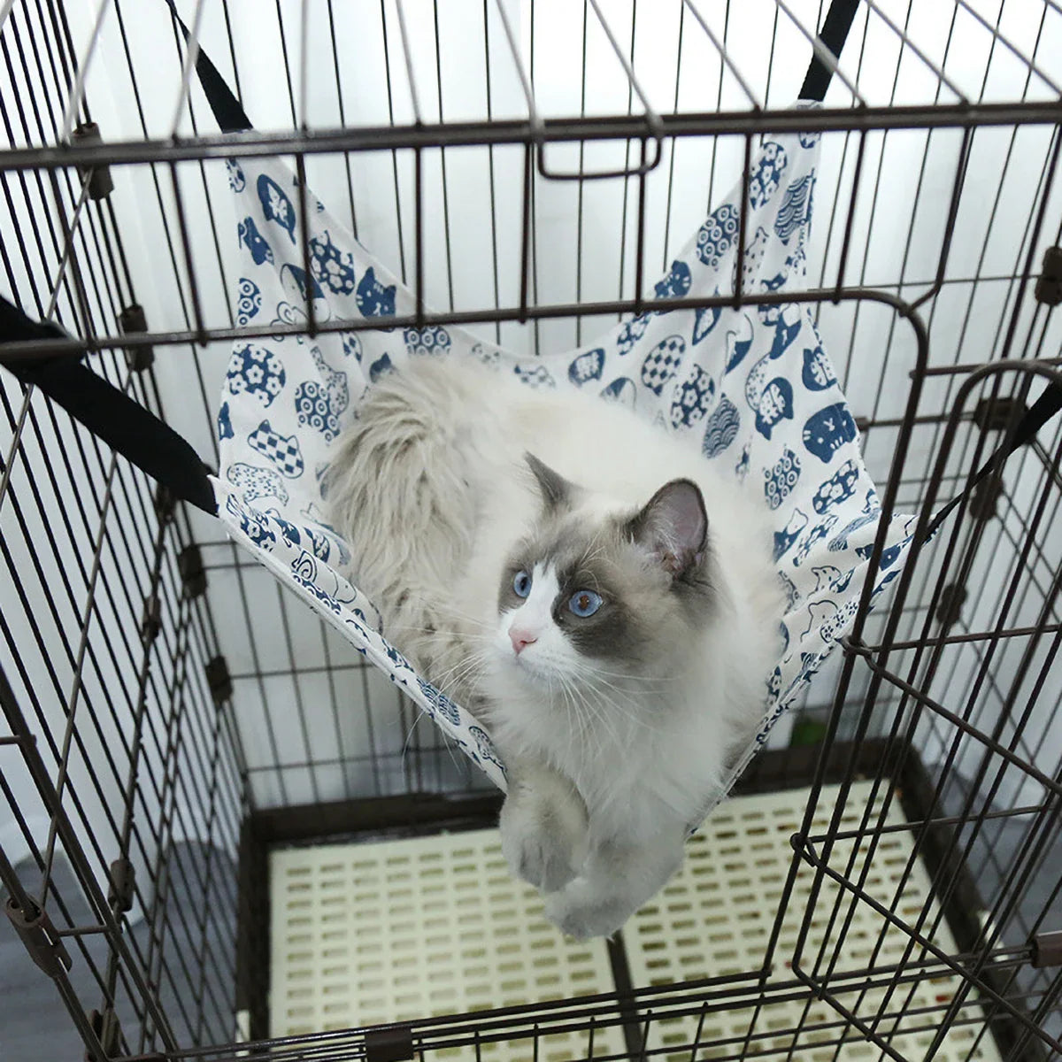 Kattenmand in mandvorm – Natuurlijk en decoratief