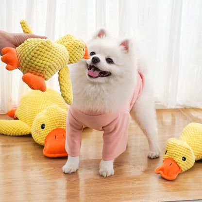 Cadeau hond feestpakket – Voor een echte party animal