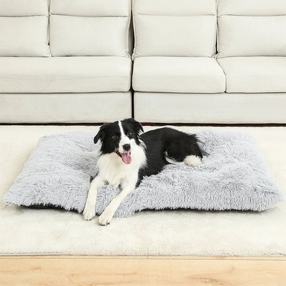 Origineel cadeau hond en baas – Samen genieten