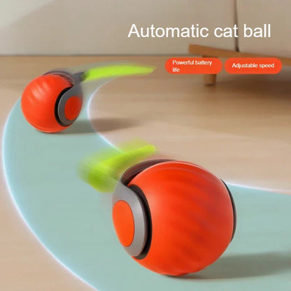 Interactieve katten speeltjes – Blijf samen in beweging
