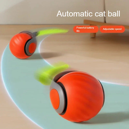 Interactieve katten speeltjes – Blijf samen in beweging