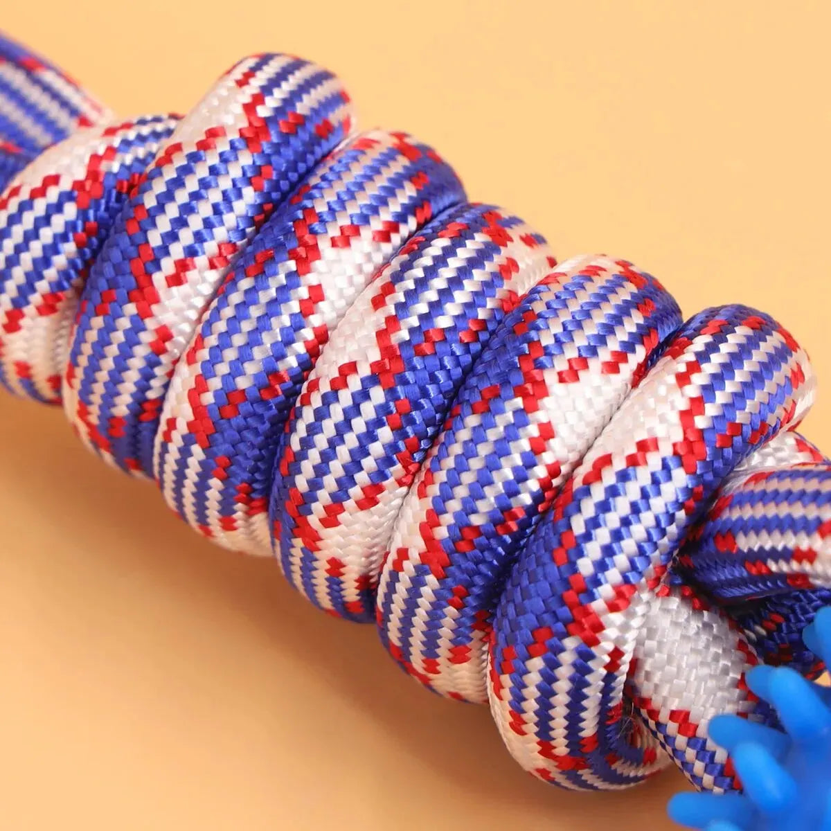 Vrolijk hondencadeau – Ideaal voor feestdagen