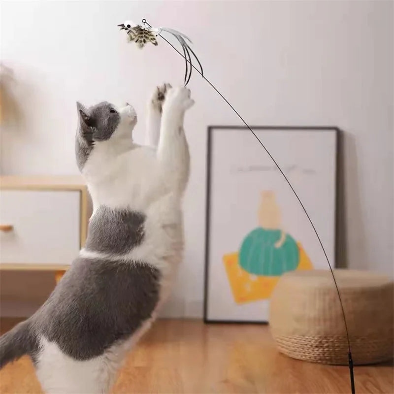 Kattenspeelgoed met kraboppervlak – Dubbel functioneel
