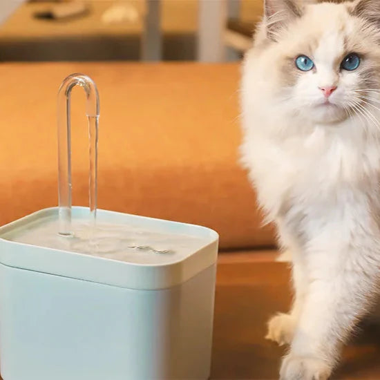 Fontein met LED voor katten – Verlichting en drinkplezier