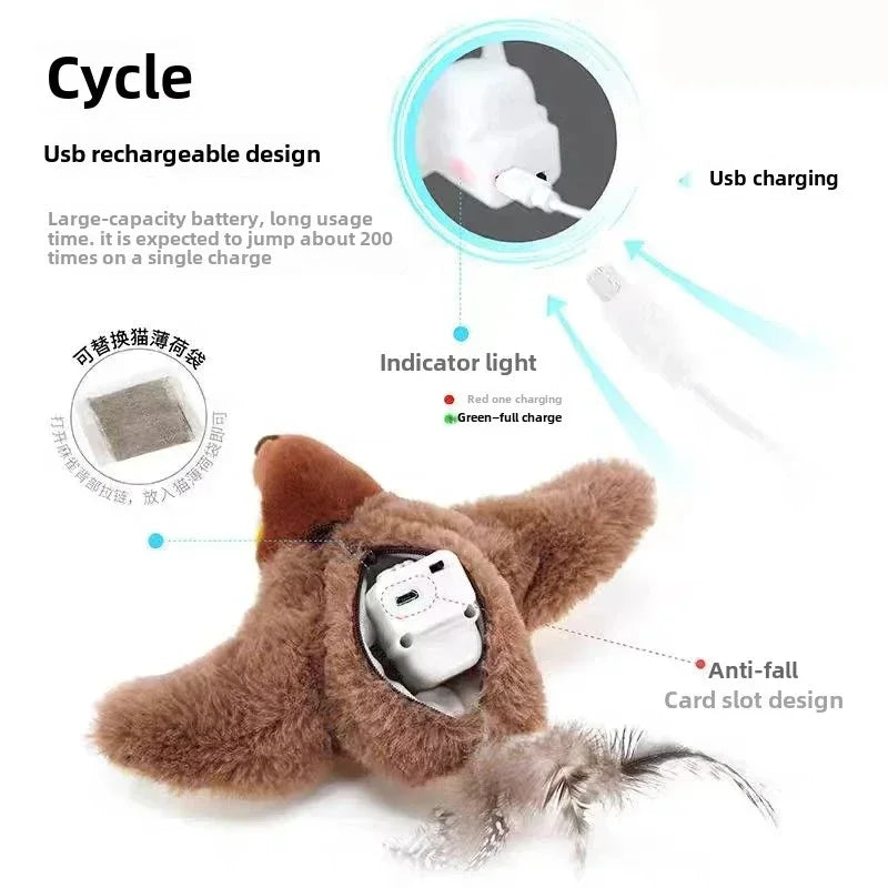 Kattenspeelgoed Action – Betaalbaar en leuk