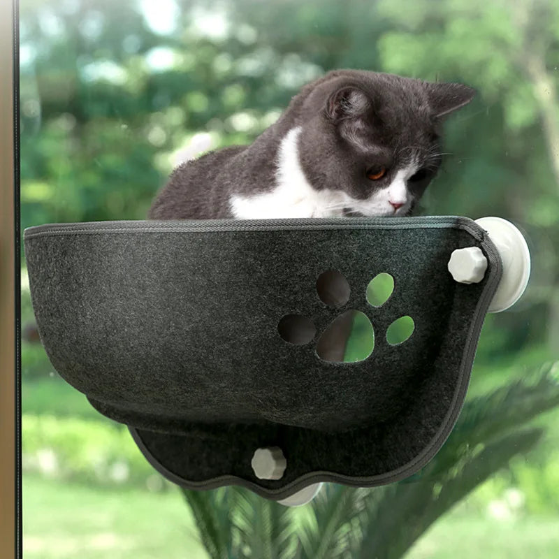 Kattenmand Action – Betaalbaar en knus
