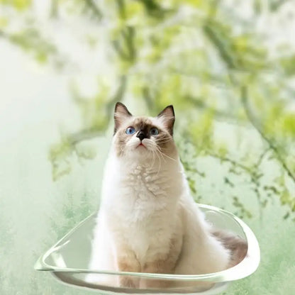 Grote kattenmand geschikt voor meerdere katten – Delen met maatjes