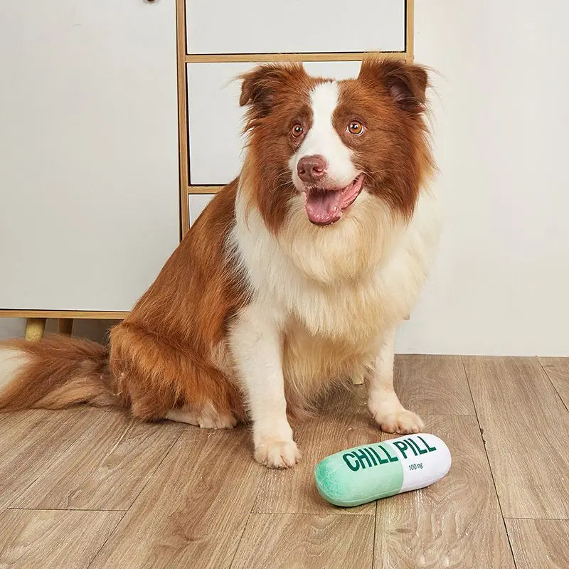 Cadeautip hond – Iets leuks voor elke pup