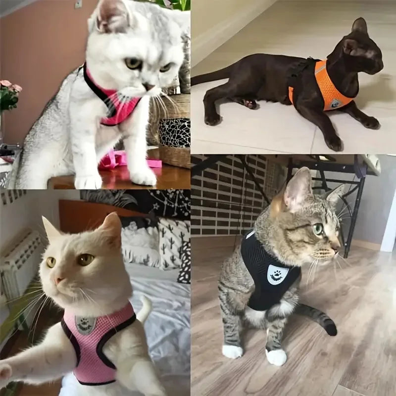 Tuigje hond Action met verstelbare buikband – Voor elke hond