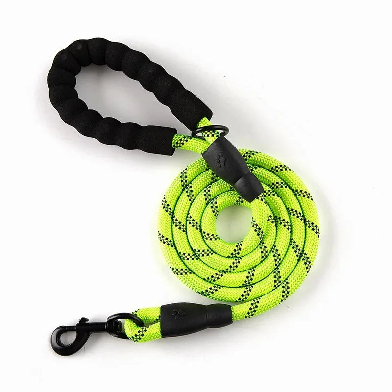 Tuigje hond Action licht en sterk – Voor dagelijks gebruik