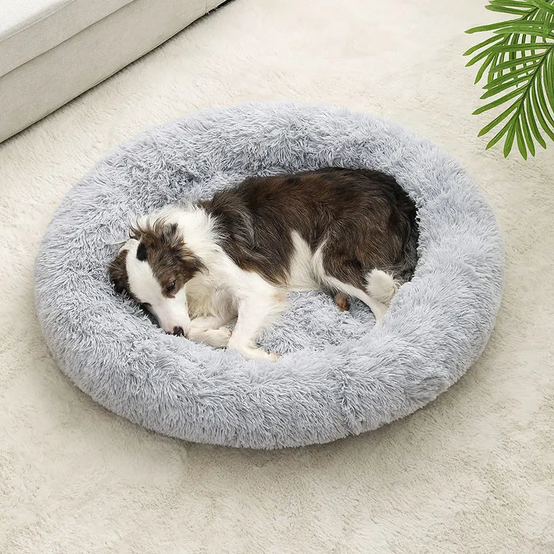 Hondenmand orthopedisch groot – Ideaal voor oudere honden