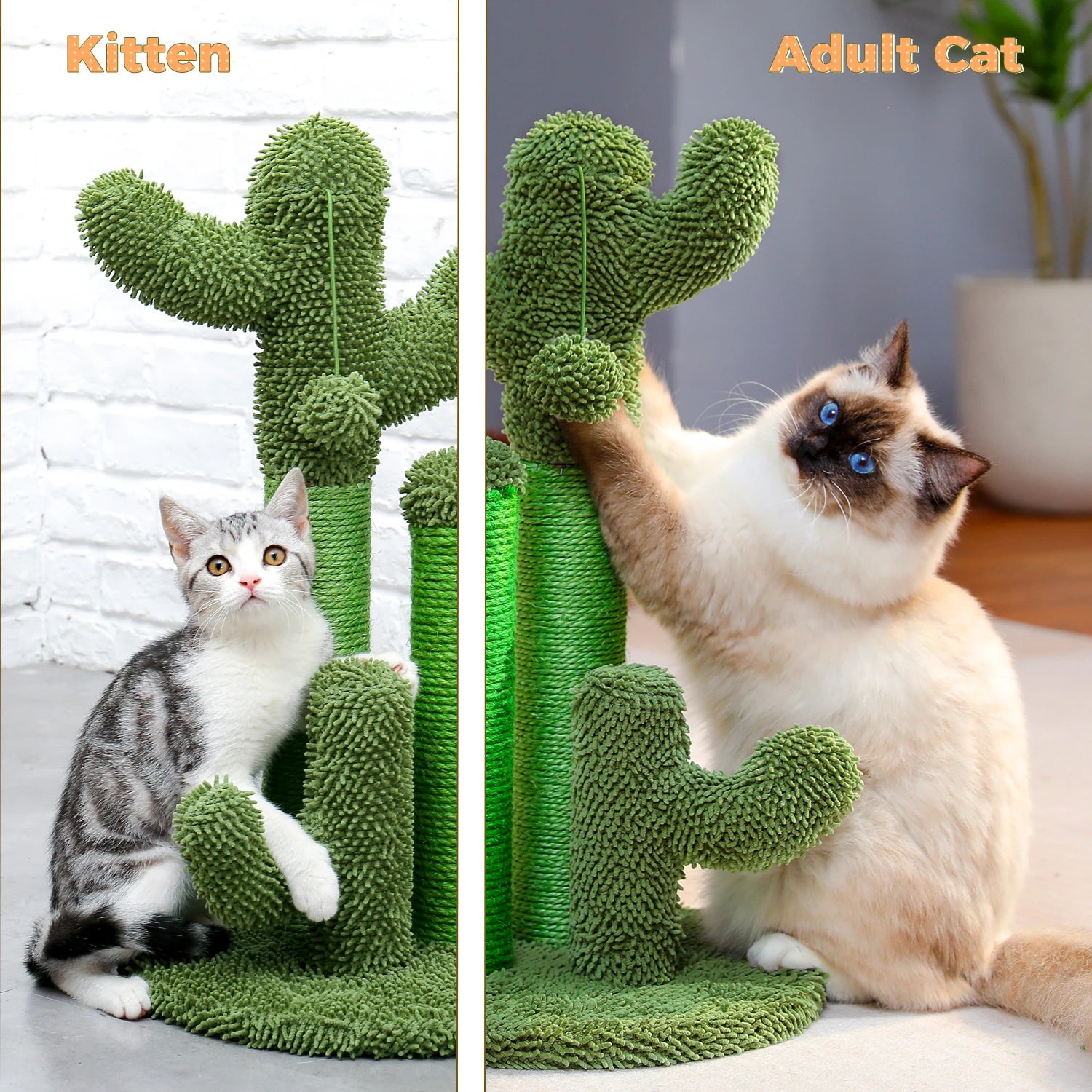 Kattenpaal xxl met meerdere ligvlakken – Voor gezinnen met katten