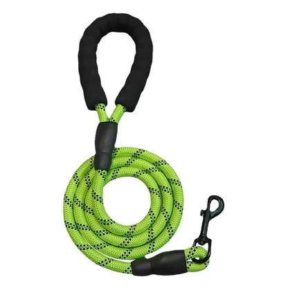 Cadeau voor hond met lekkers – Smullen gegarandeerd