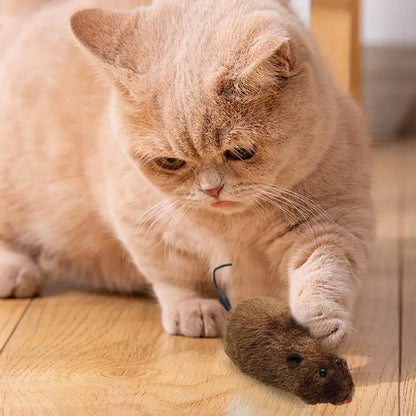 Katten speelgoed met licht – Voor nachtelijke jacht