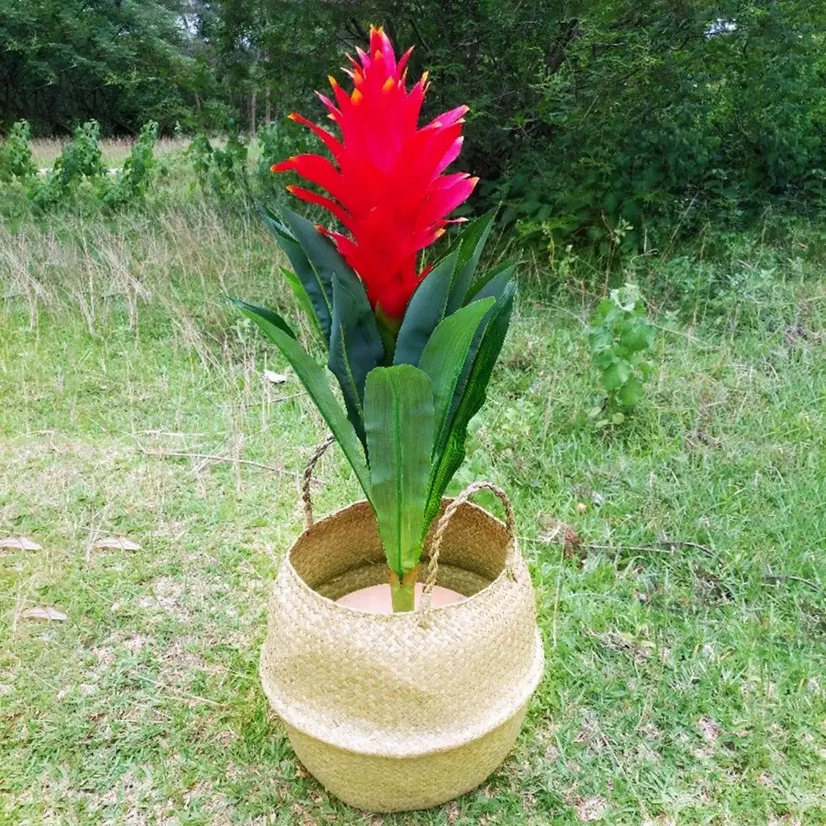 Planten en potten voor woonkamer – Natuurlijk accent