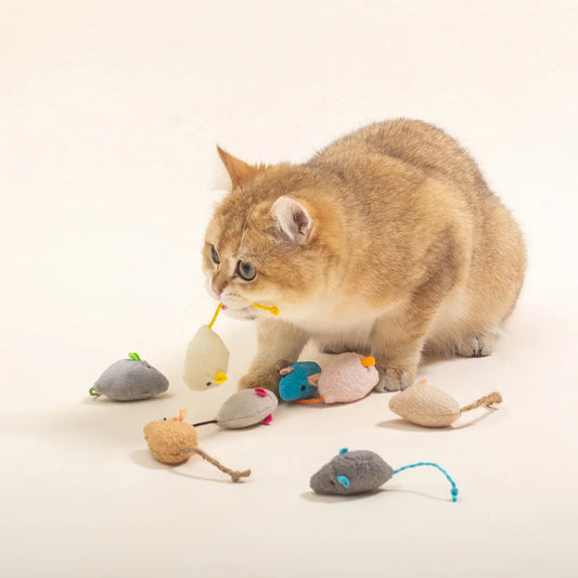 Katten speeltjes met catnip en veer – Dubbel plezier