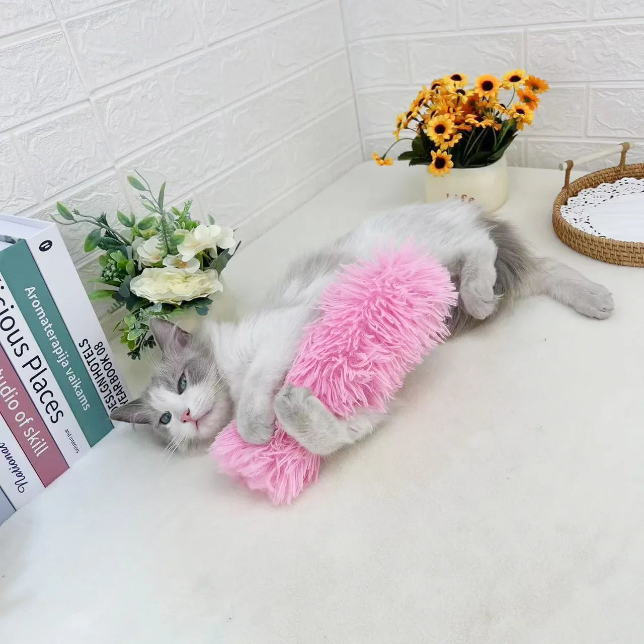 Katten speeltjes met ophangsysteem – Blijft interessant