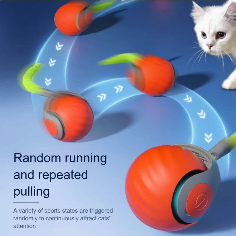 Kattenspeelgoed met knisperend geluid – Stimuleert nieuwsgierigheid