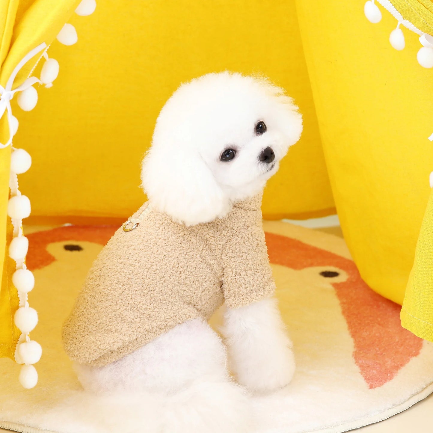 Cadeauset voor hond en eigenaar – Perfect duo pakket