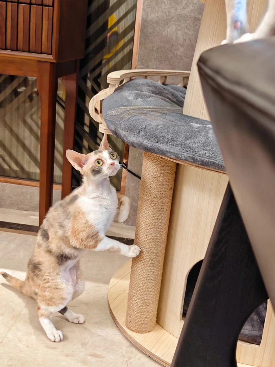 Kattenpaal met zachte kussens – Comfort en stijl