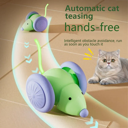Kattenspeeltje in de vorm van een vogel – Realistisch jachtgevoel