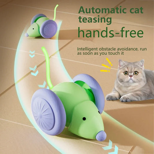 Kattenspeeltje in de vorm van een vogel – Realistisch jachtgevoel