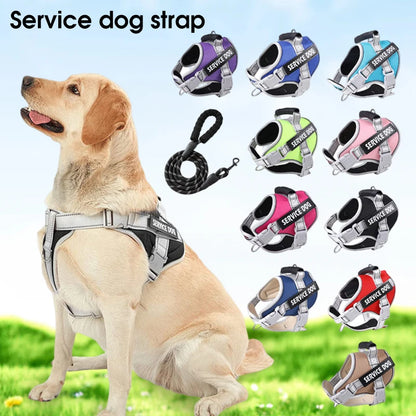 Action honden tuigje voor dagelijks gebruik – Comfortabel wandelen