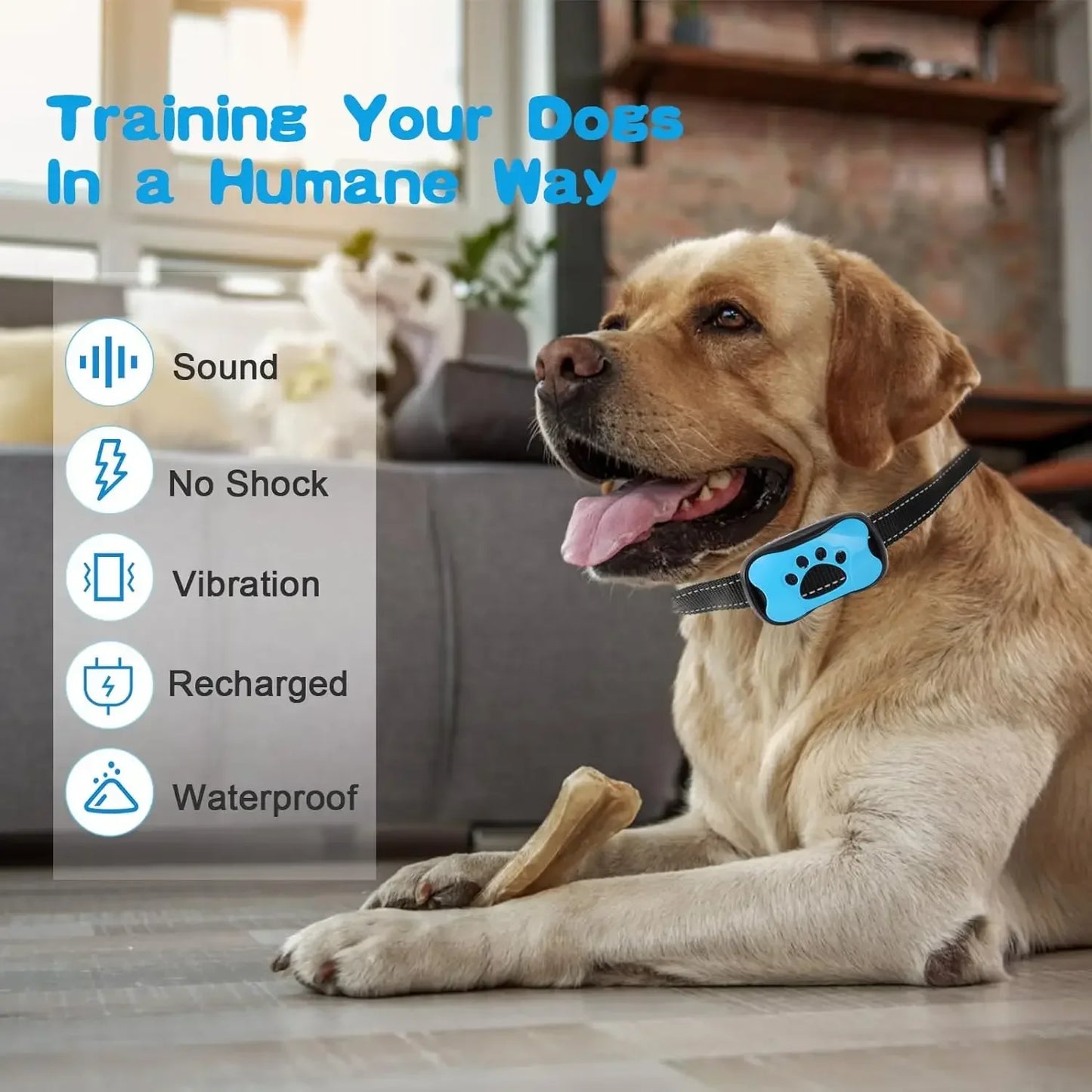 Luxe honden cadeau – Stijlvol en bijzonder