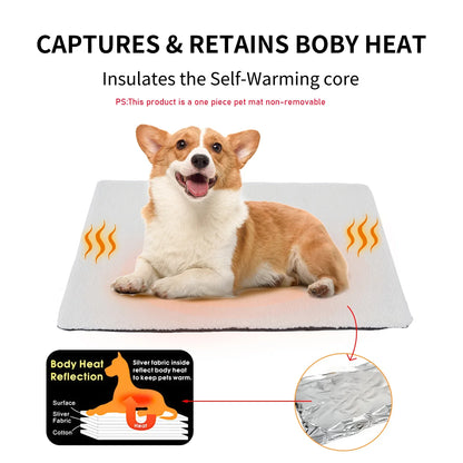 Ovale kattenmand – Comfort in stijl