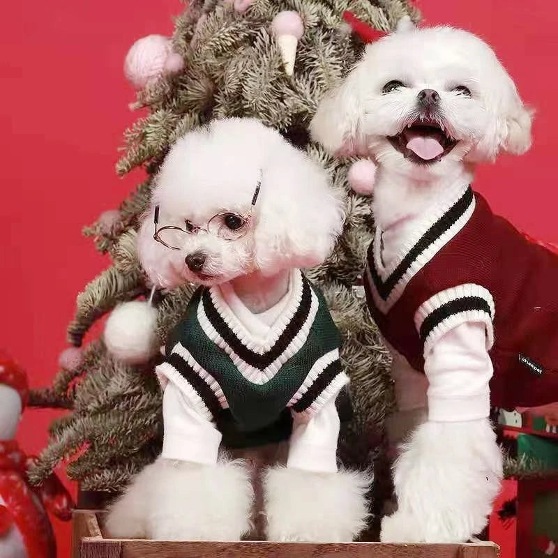 Verjaardagstraktatie hond cadeau – Smullen en spelen