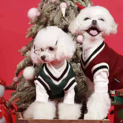 Verjaardagstraktatie hond cadeau – Smullen en spelen