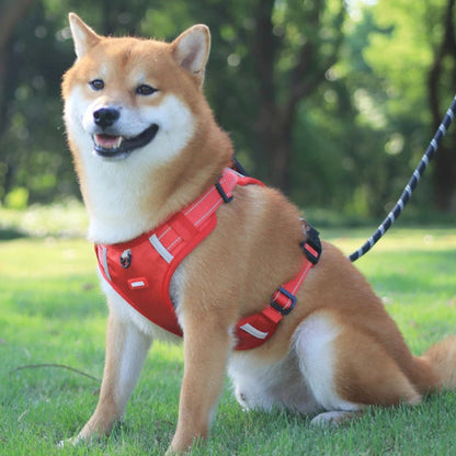 Action honden tuigje met kleuraccent – Leuk en opvallend