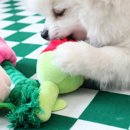 Verjaardagspakket hond – Klaar om te geven