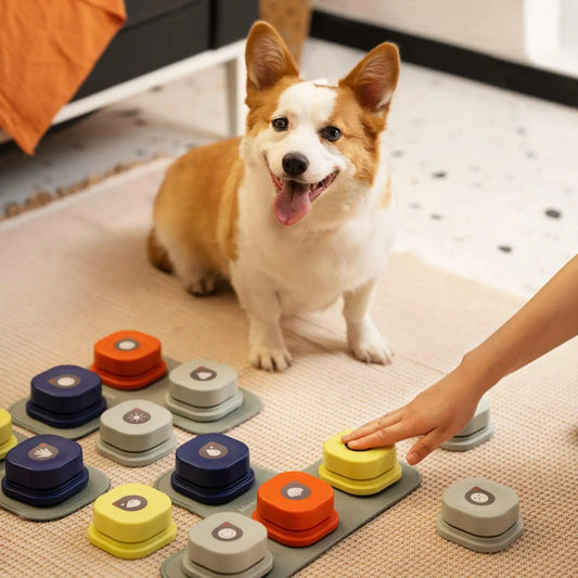 Origineel cadeau voor hond en baas – Praktisch en lief