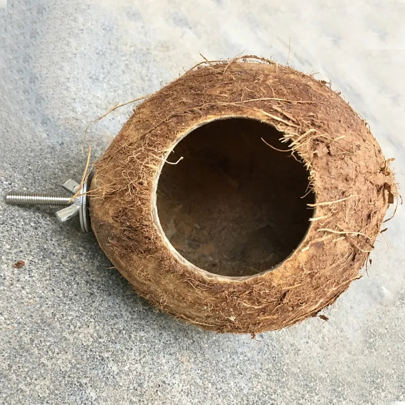 Xenos vogelhuisje met hartvorm – Romantisch design