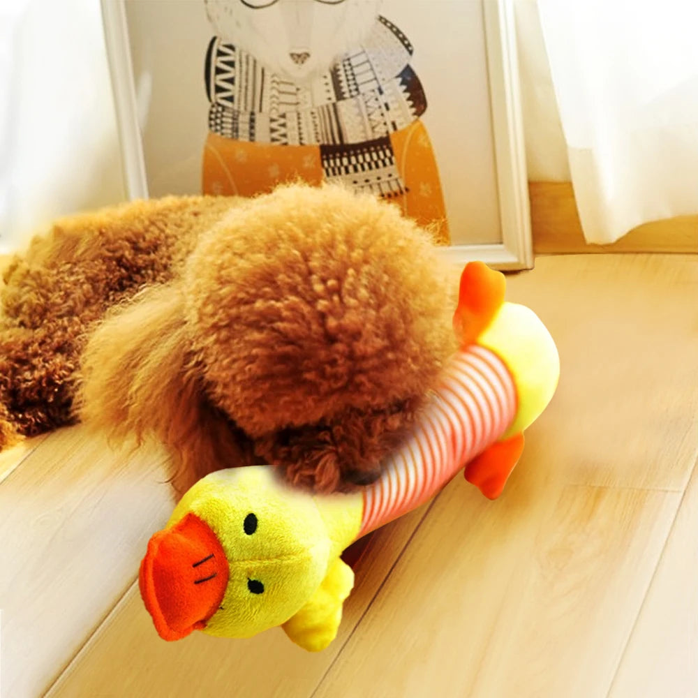 Cadeau voor honden en baasjes – Een dubbel plezier