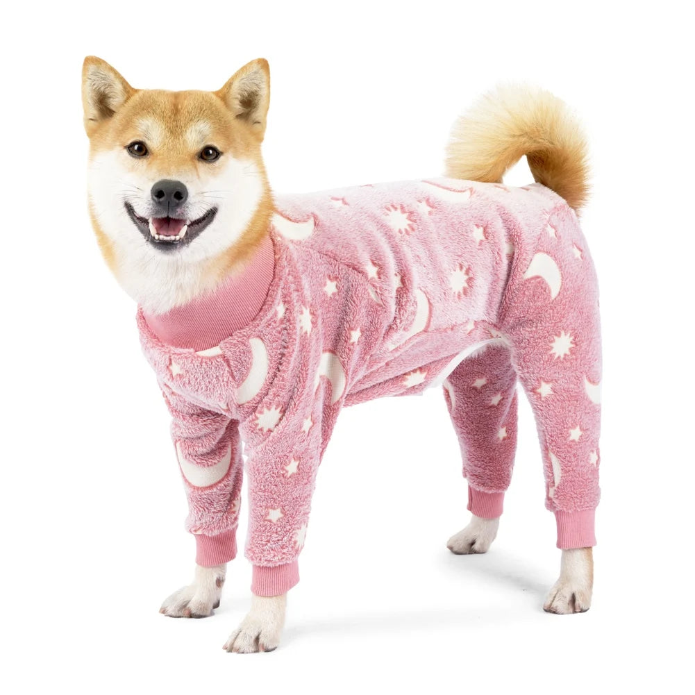 Puppy cadeau verjaardag – Veilig en vrolijk
