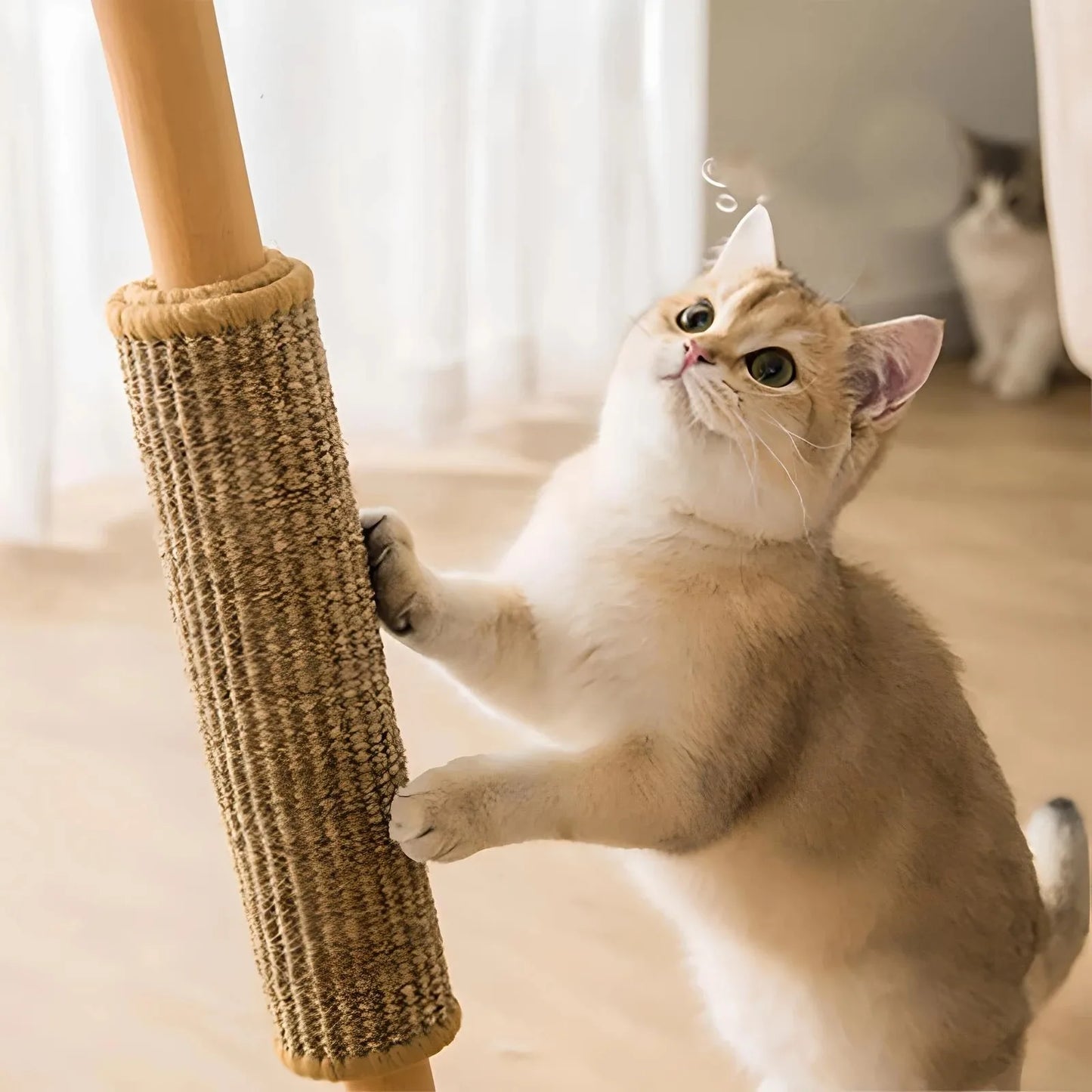 Goedkope kattenmand van Action – Comfort voor minder