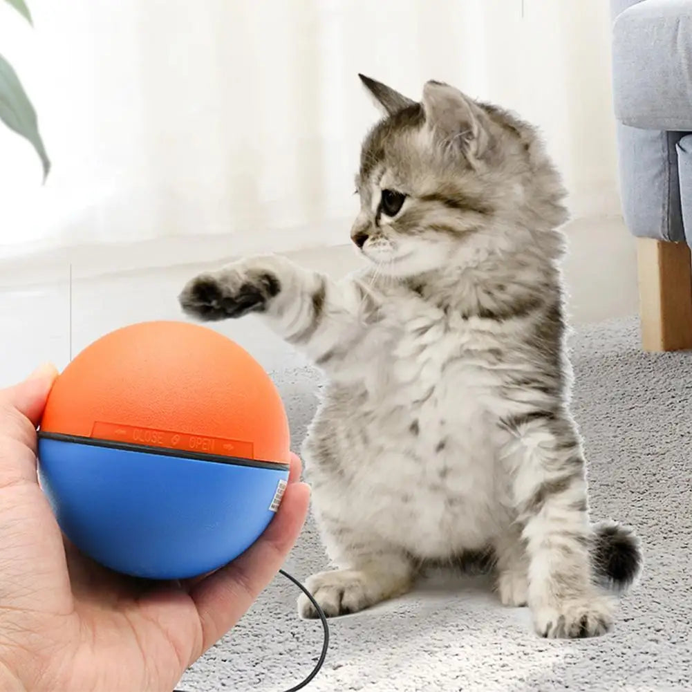 Kattenspeeltjes met veren en balletjes – Multifun