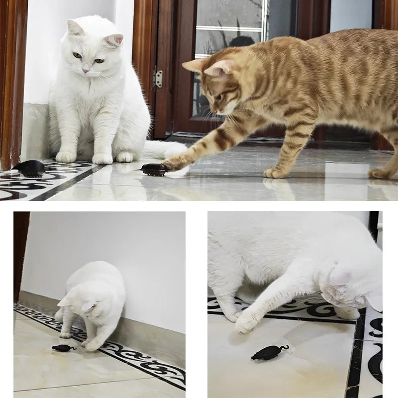 Kattenspeeltje met zuignap – Blijft stevig op zijn plek