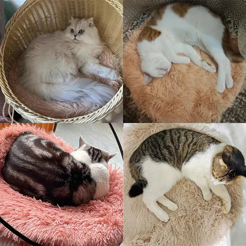 Ovale kattenmand – Comfort in stijl