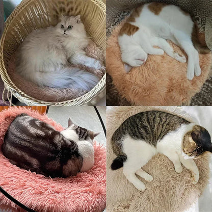 Ovale kattenmand – Comfort in stijl