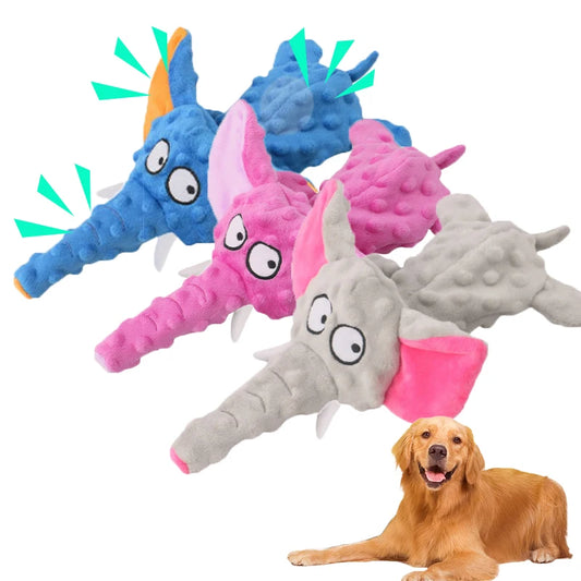 Verjaardag hond vieren – Met een origineel cadeau