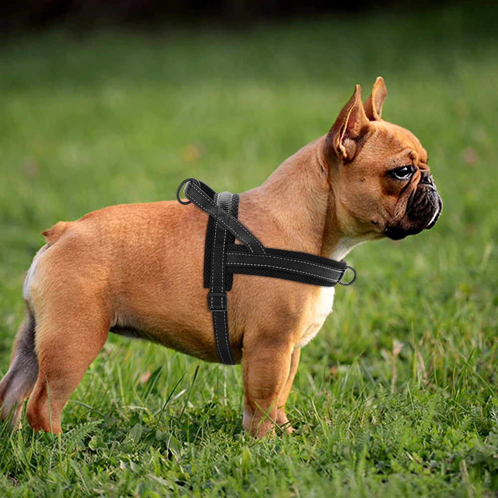Honden tuigje met unieke print – Valt op tijdens wandelingen