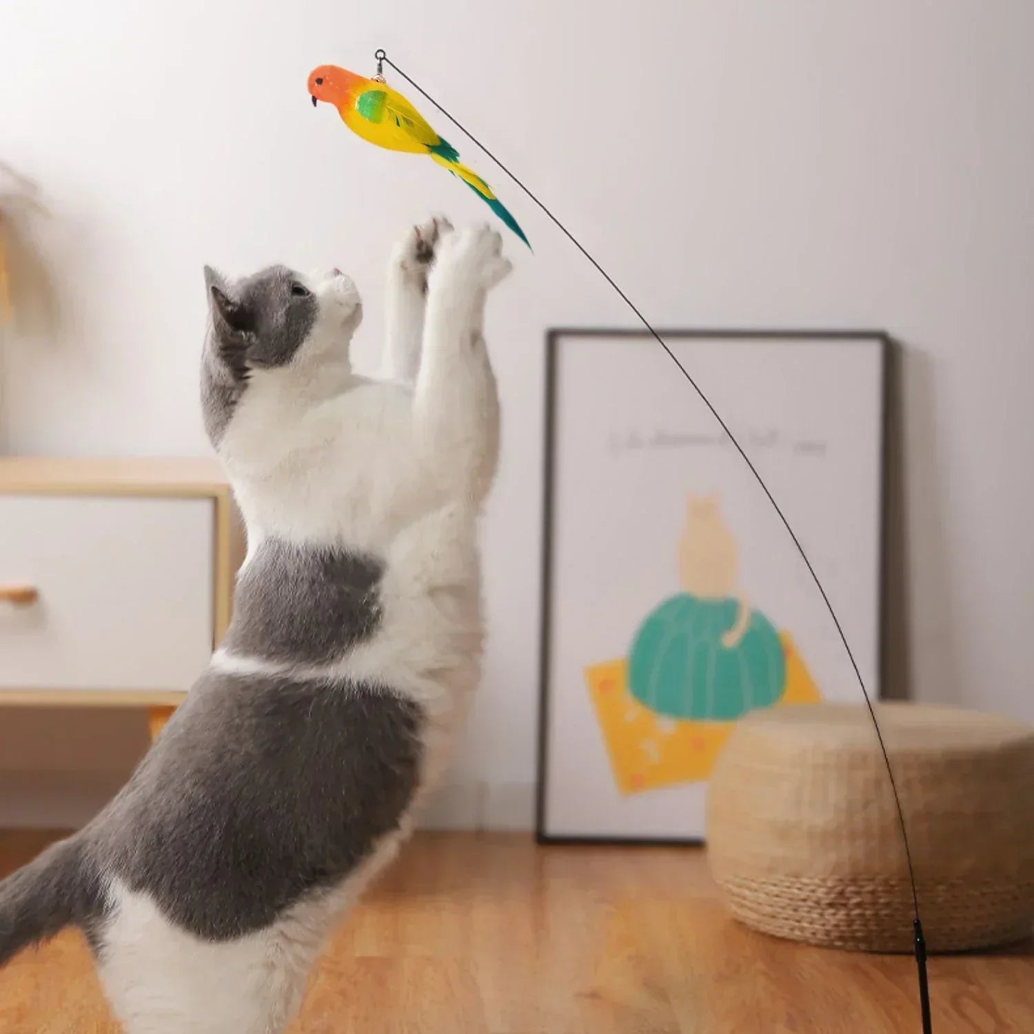 Kattenspeelgoed met rubber – Goed voor de tanden