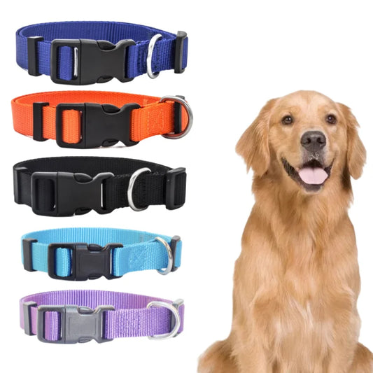 Cadeau voor hond en mens – Duo plezier