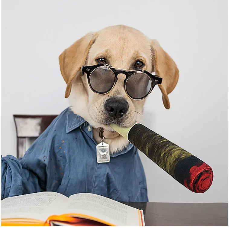 Feestdoos voor hond verjaardag – Alles in één